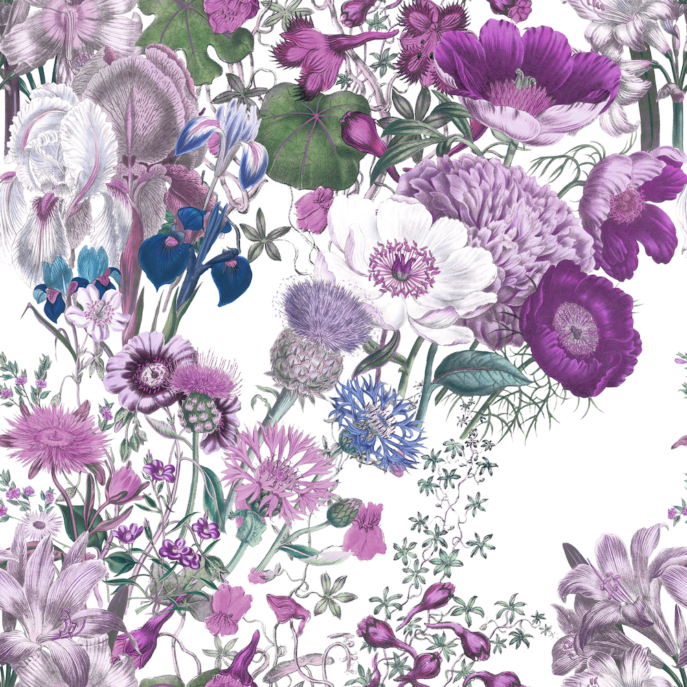 Bloomin' Lovely! _ Twilight on White _ 1000x1000.png